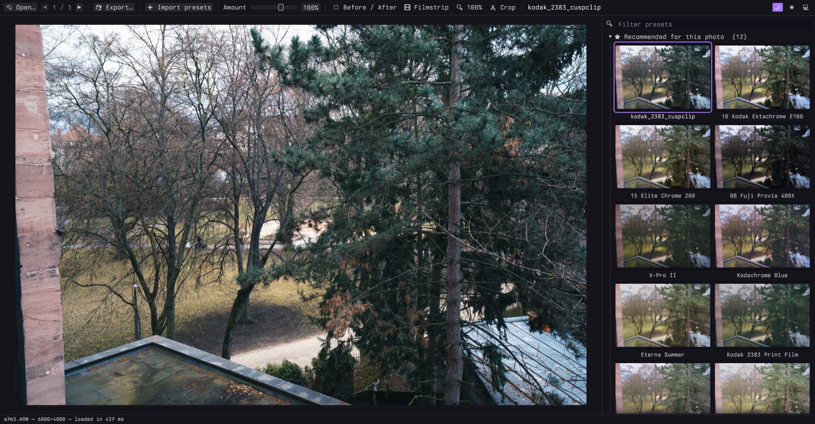 BP Photos with a photo open and the presets recommended for it